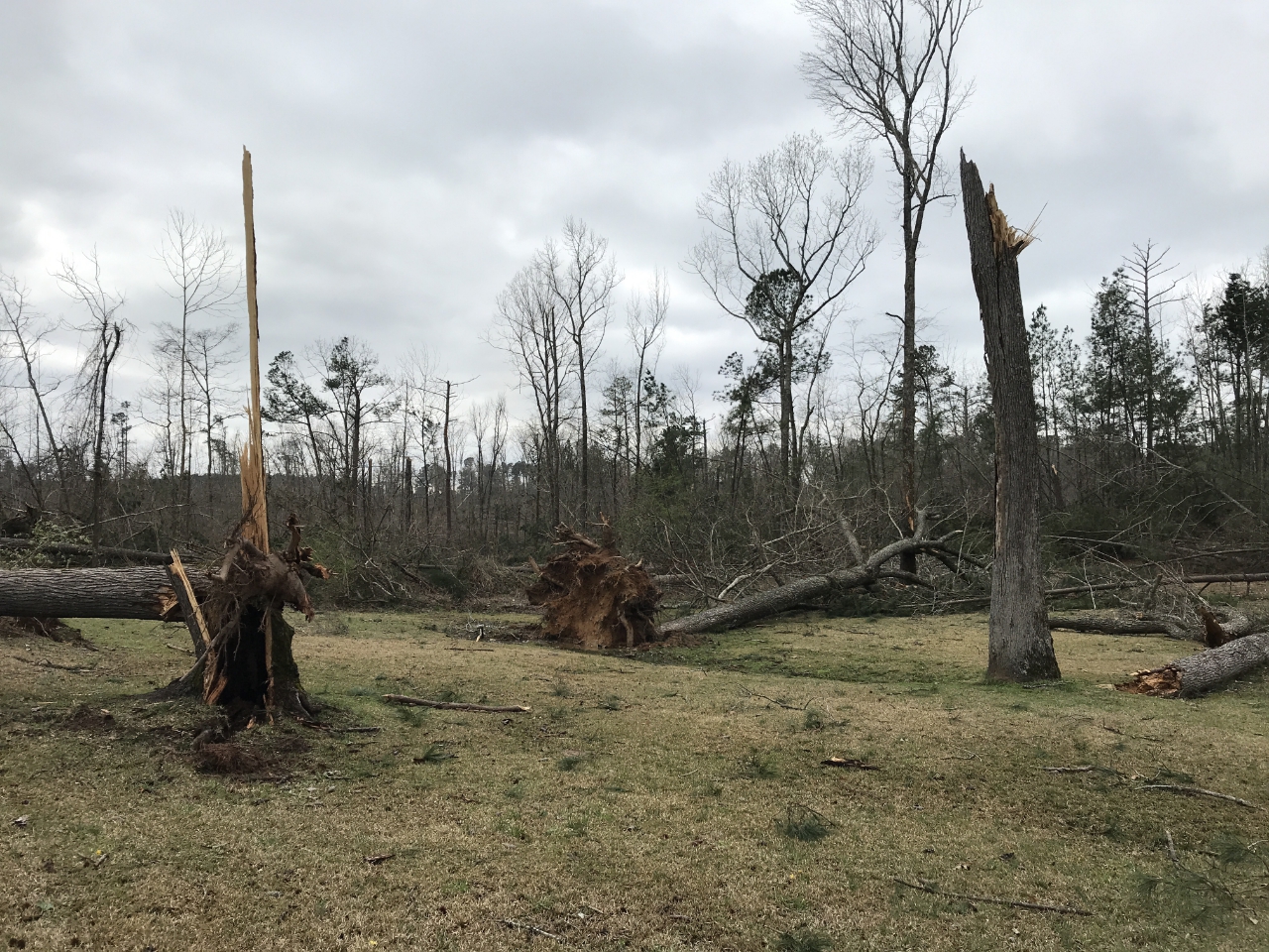 Edgefield County Tornado March 3rd, 2019
